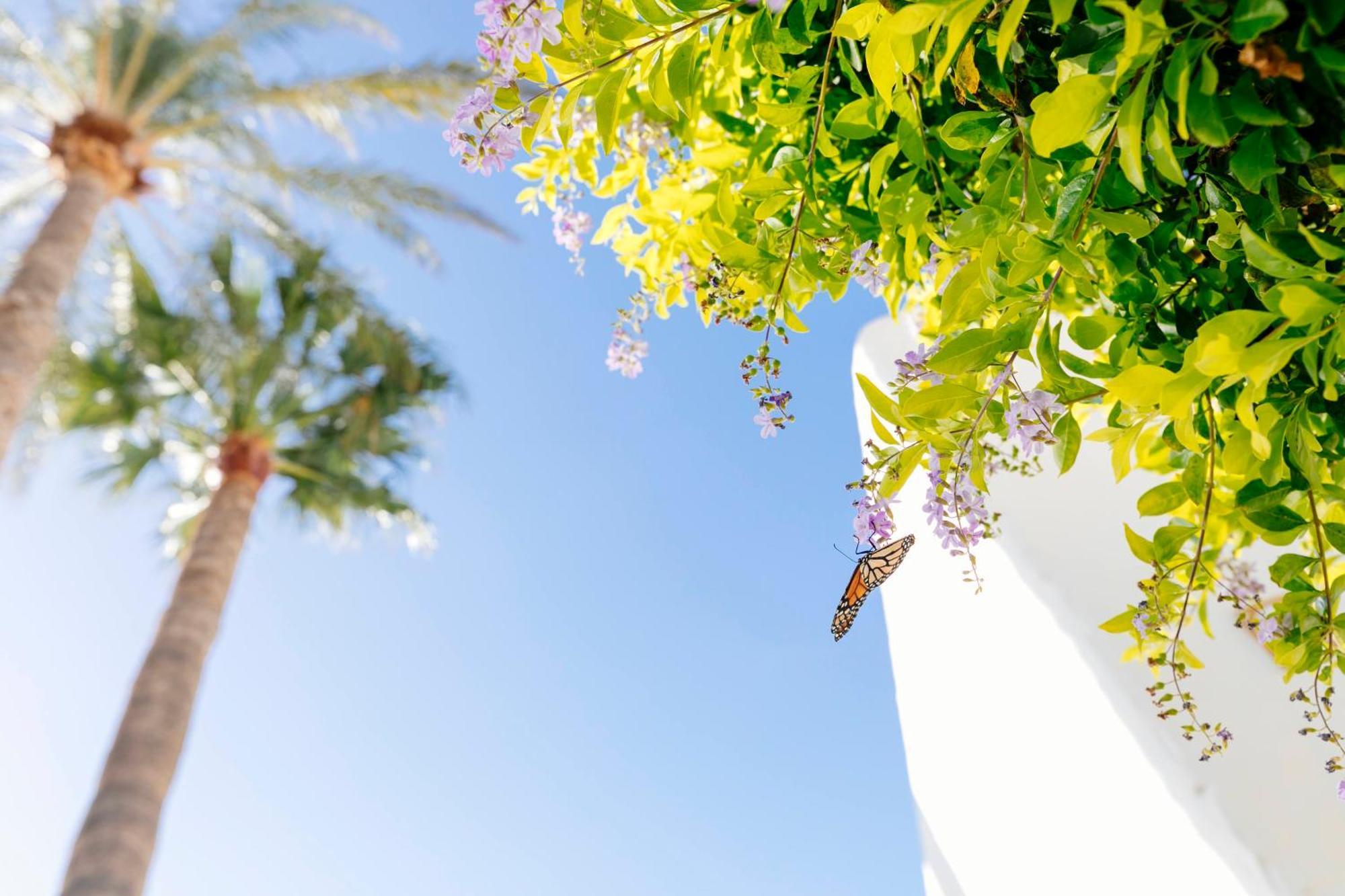 Hd Parque Cristobal Tenerife Playa de las Americas  Exterior foto